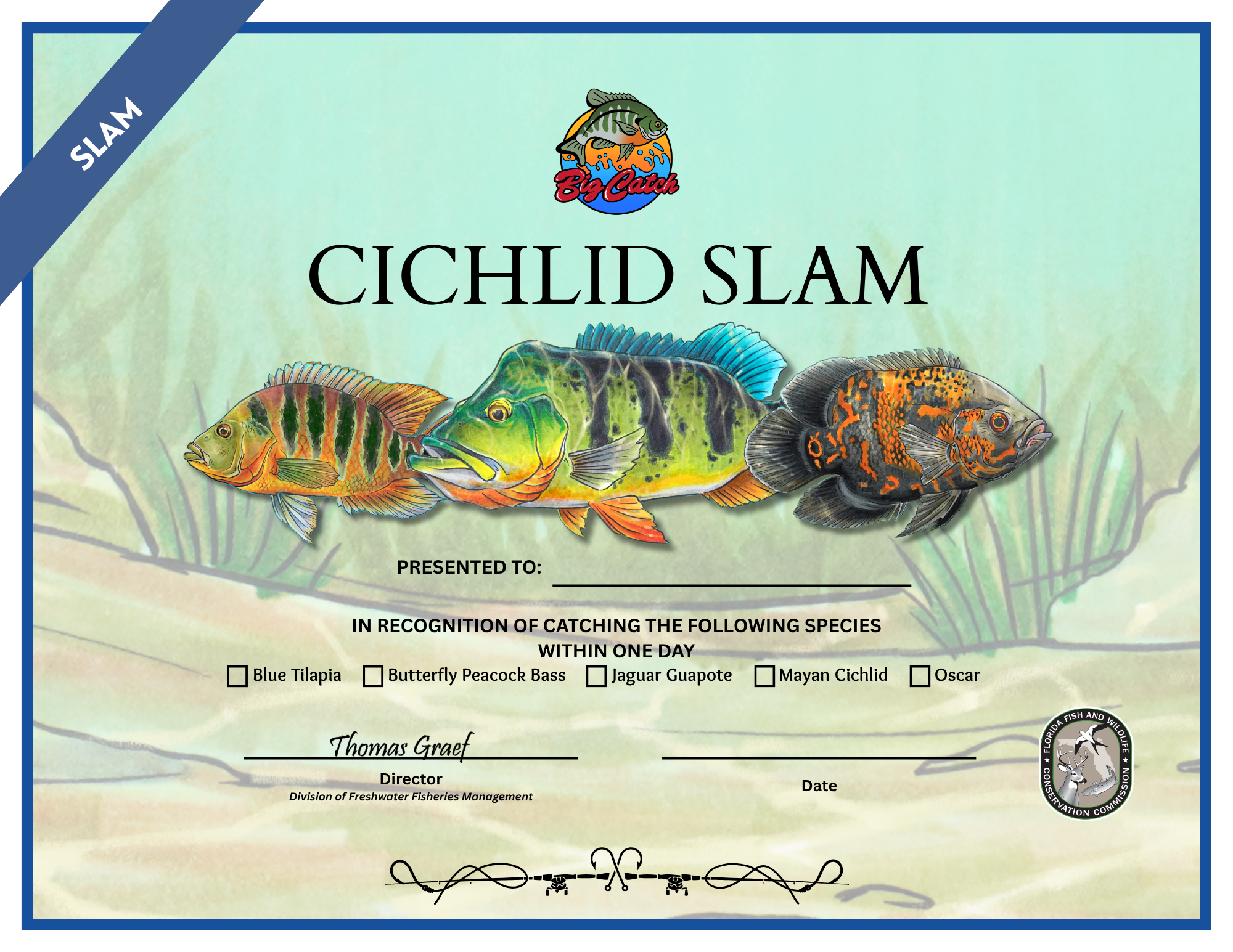 Cichlid Slam Certificate