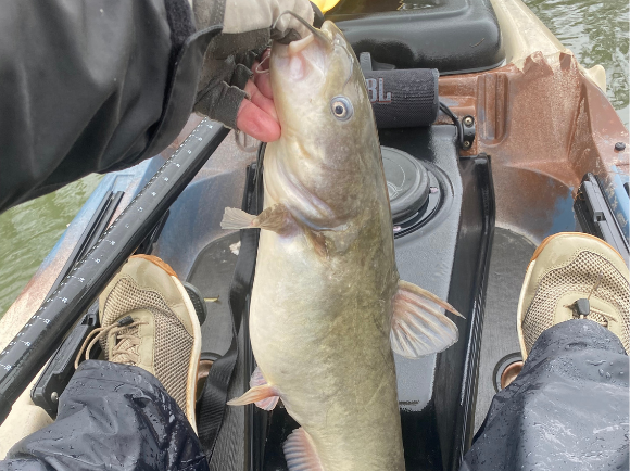 Angler photo