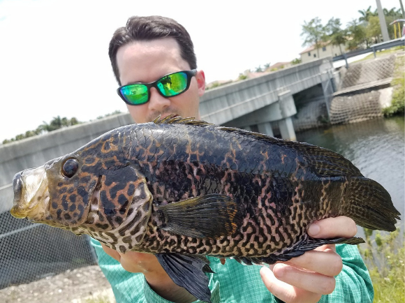 Angler photo