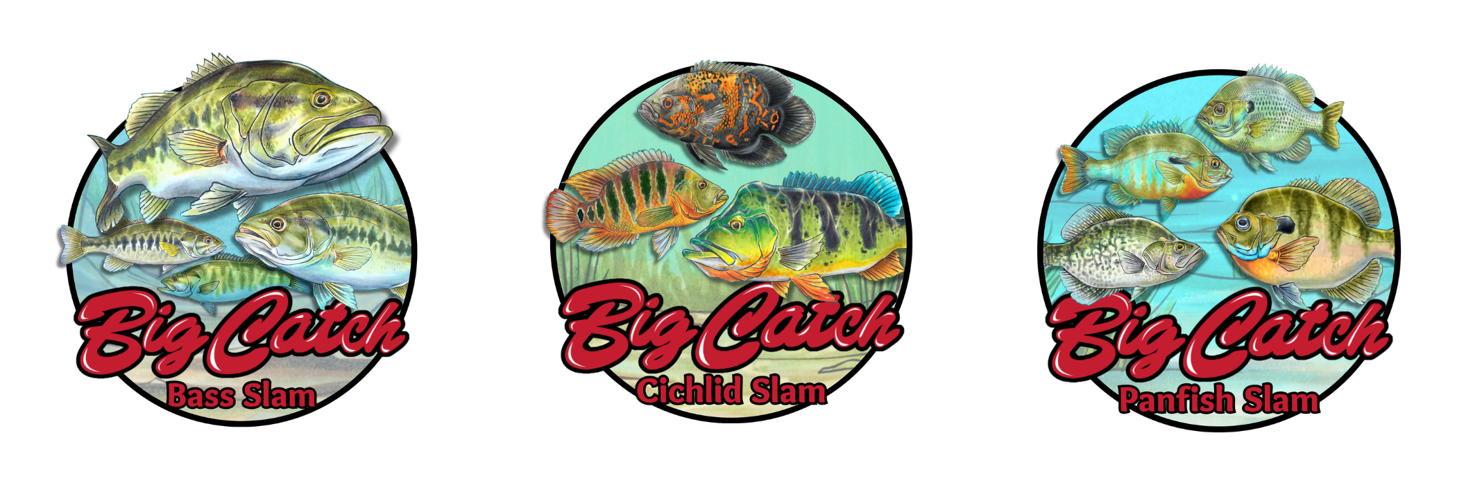 Big Catch Slam certificate and sticker
