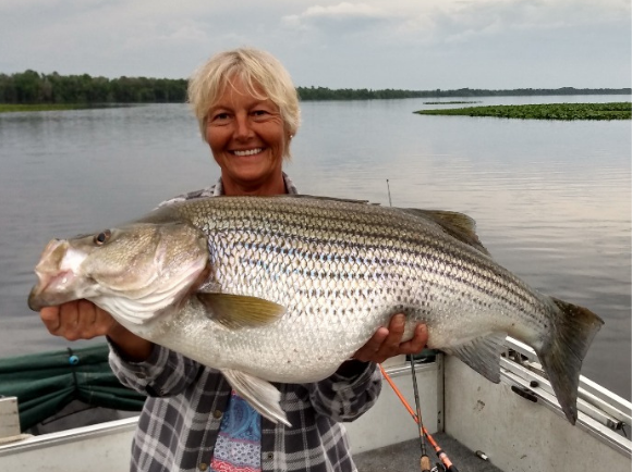 Angler photo