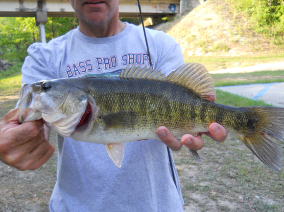 Angler photo